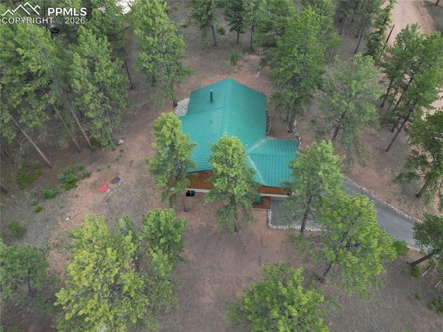 170 Druid Trail, Florissant, CO 80814