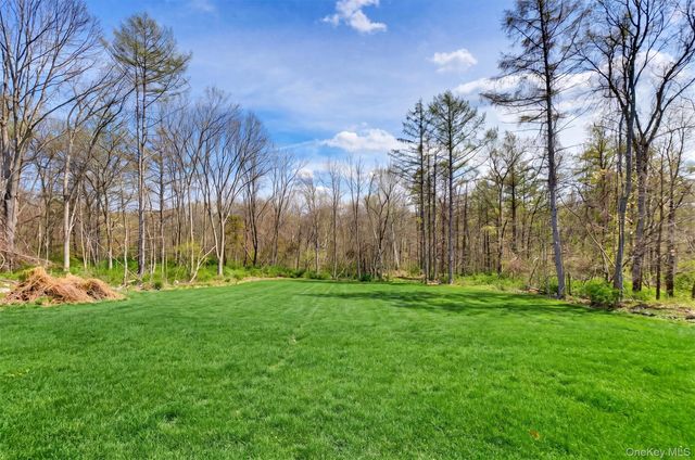 226 Buttonwood Way, Hopewell Junction, NY 12533