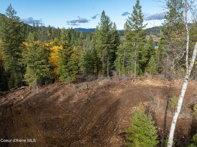 Lot 1 Braden Estates, Priest River, ID 83856