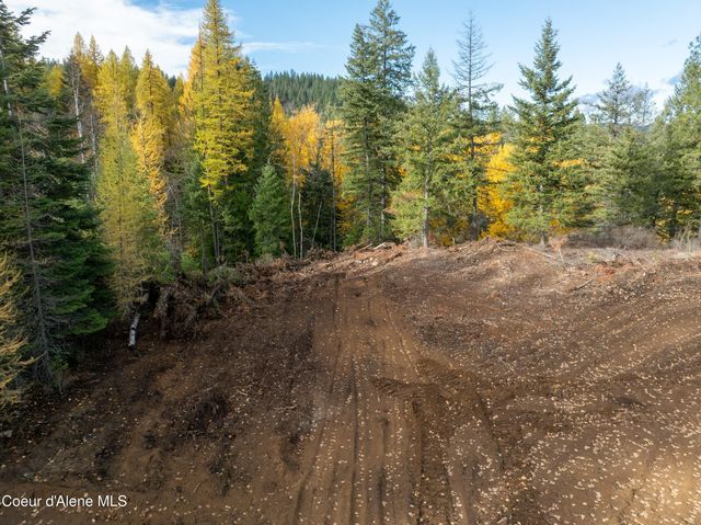 Lot 1 Braden Estates, Priest River, ID 83856
