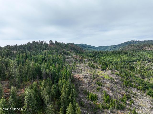 Lot 1 Braden Estates, Priest River, ID 83856