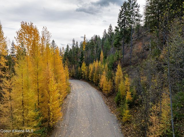 Lot 1 Braden Estates, Priest River, ID 83856