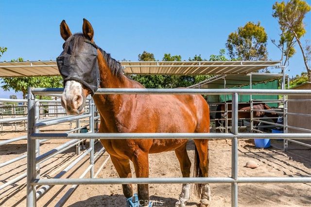 3338 Punta Alta 3C, Laguna Woods, CA 92637