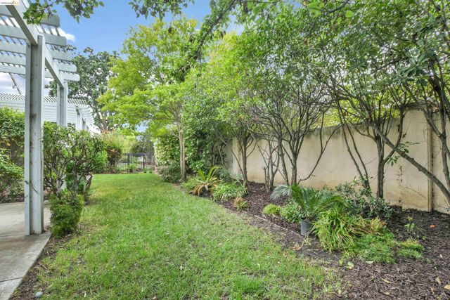276 Black Amber Way, Brentwood, CA 94513