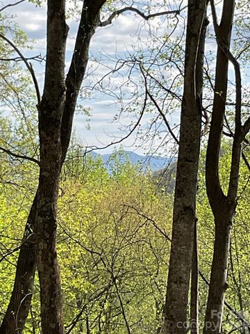 1414 Easy Wind Drive 56, Swannanoa, NC 28778