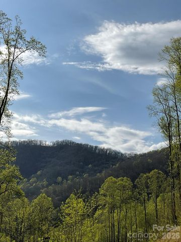 1414 Easy Wind Drive 56, Swannanoa, NC 28778