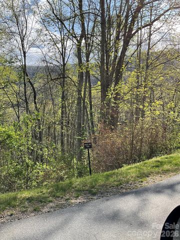 1414 Easy Wind Drive 56, Swannanoa, NC 28778