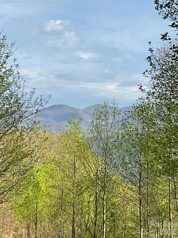1414 Easy Wind Drive 56, Swannanoa, NC 28778