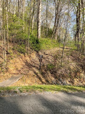 1414 Easy Wind Drive 56, Swannanoa, NC 28778