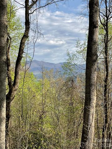 1414 Easy Wind Drive 56, Swannanoa, NC 28778