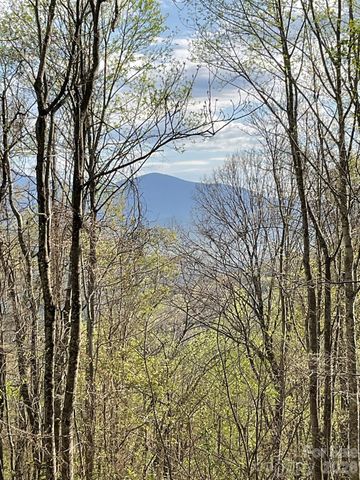 1414 Easy Wind Drive 56, Swannanoa, NC 28778