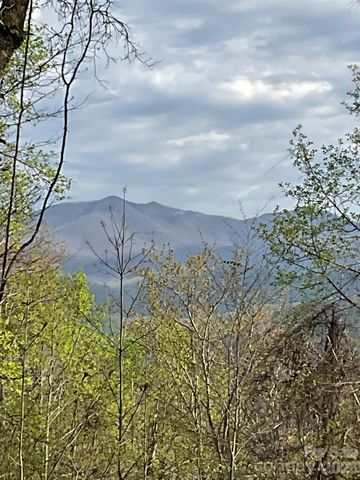 1414 Easy Wind Drive 56, Swannanoa, NC 28778