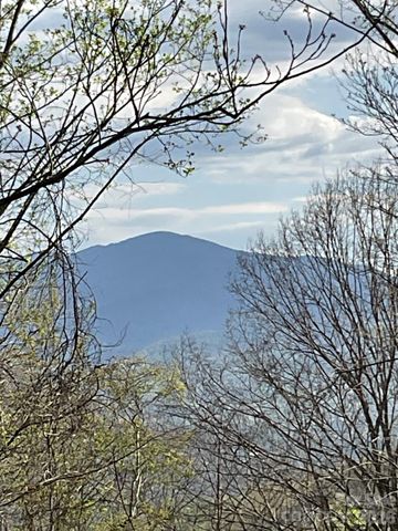 1414 Easy Wind Drive 56, Swannanoa, NC 28778