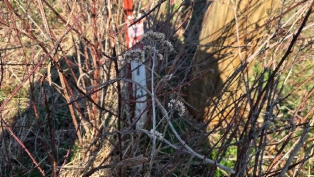 0 Lord Botetourt Court, Baxter, TN 38544