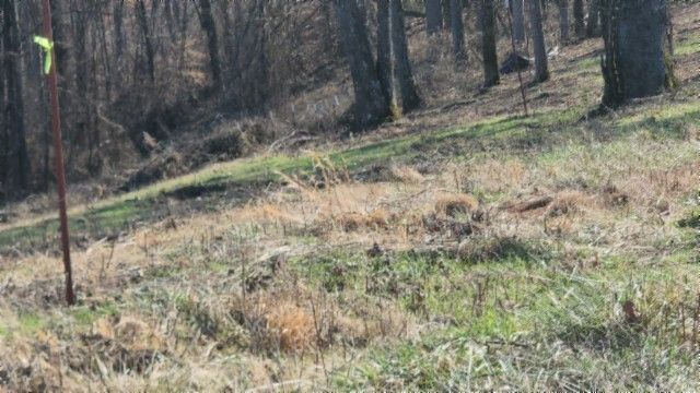 0 Lord Botetourt Court, Baxter, TN 38544