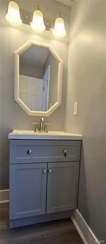 111 E Arlee Avenue, St Louis, MO 63125