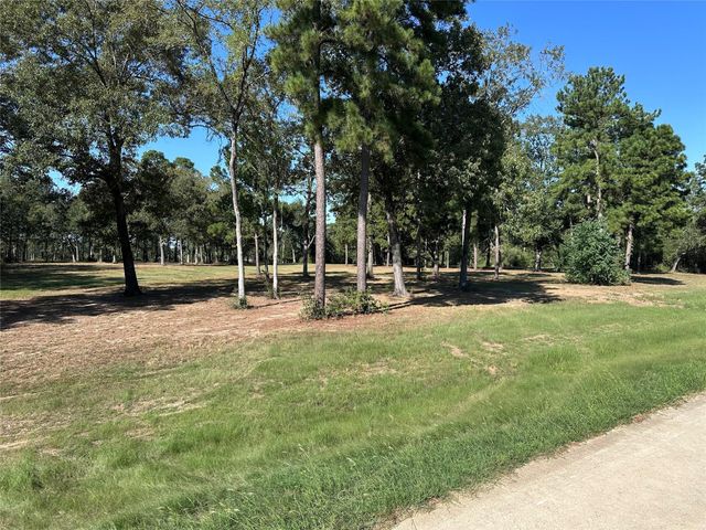 5.3 AC tbd Spring Branch Rd, Montgomery, TX 77316