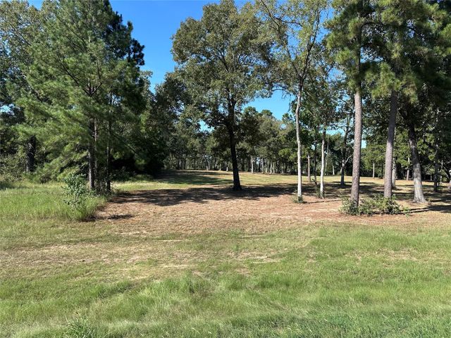 5.3 AC tbd Spring Branch Rd, Montgomery, TX 77316