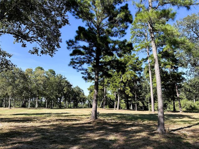 5.3 AC tbd Spring Branch Rd, Montgomery, TX 77316