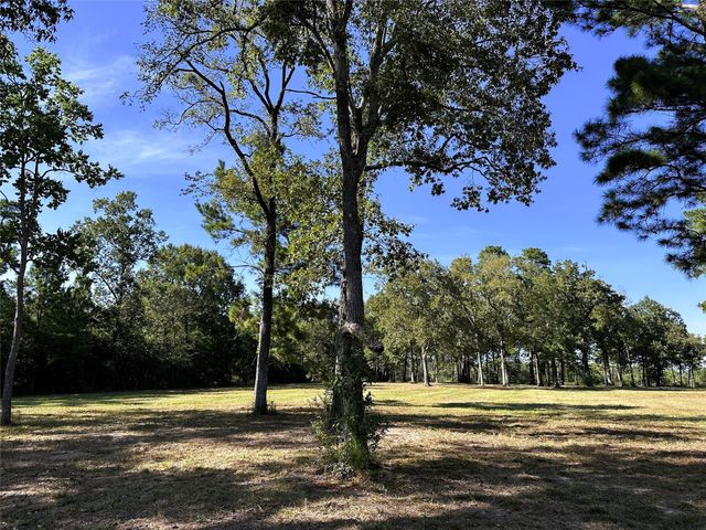 5.3 AC tbd Spring Branch Rd, Montgomery, TX 77316