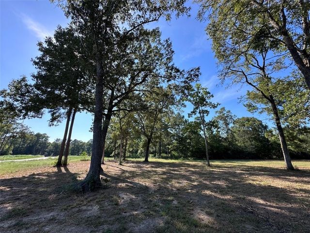5.3 AC tbd Spring Branch Rd, Montgomery, TX 77316