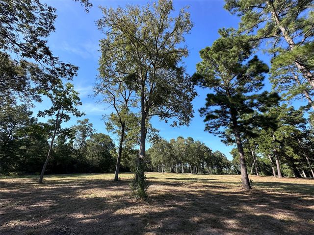 5.3 AC tbd Spring Branch Rd, Montgomery, TX 77316