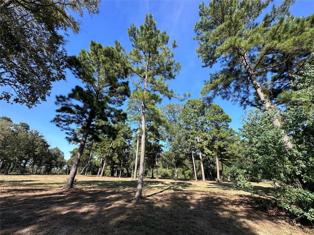 5.3 AC tbd Spring Branch Rd, Montgomery, TX 77316