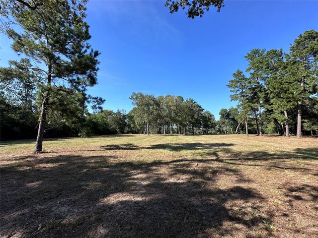5.3 AC tbd Spring Branch Rd, Montgomery, TX 77316