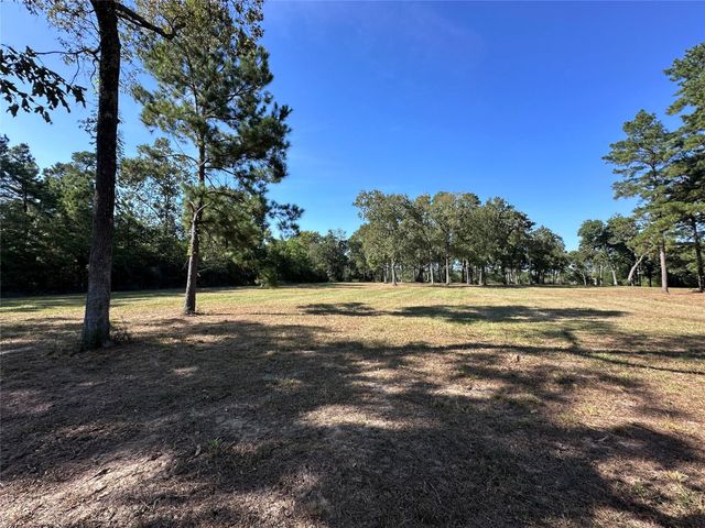 5.3 AC tbd Spring Branch Rd, Montgomery, TX 77316