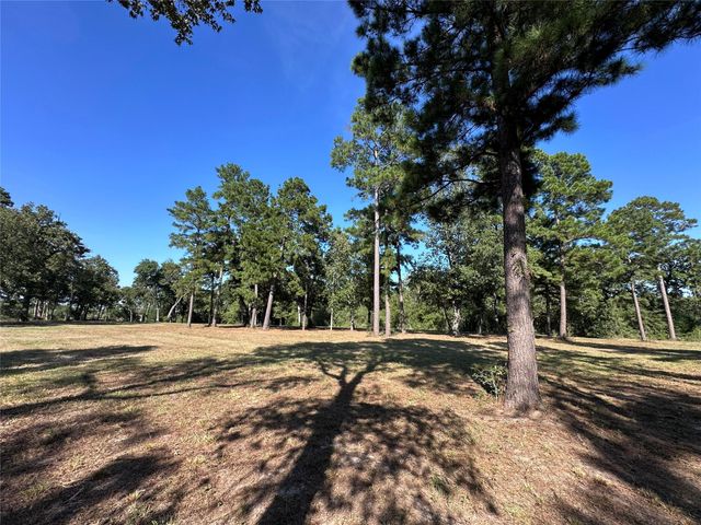 5.3 AC tbd Spring Branch Rd, Montgomery, TX 77316