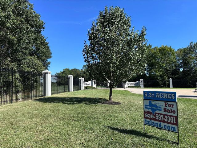 5.3 AC tbd Spring Branch Rd, Montgomery, TX 77316