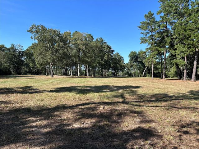 5.3 AC tbd Spring Branch Rd, Montgomery, TX 77316
