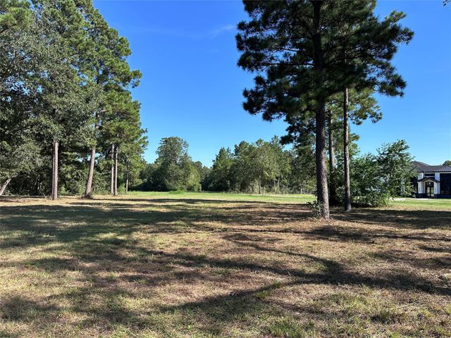 5.3 AC tbd Spring Branch Rd, Montgomery, TX 77316