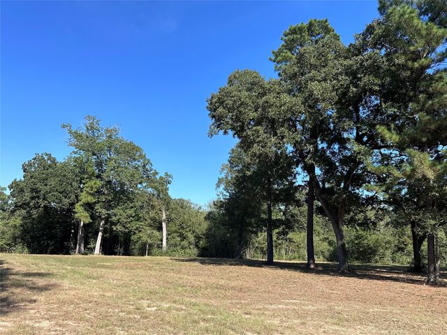 5.3 AC tbd Spring Branch Rd, Montgomery, TX 77316