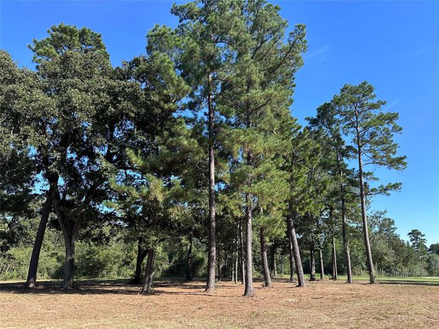 5.3 AC tbd Spring Branch Rd, Montgomery, TX 77316