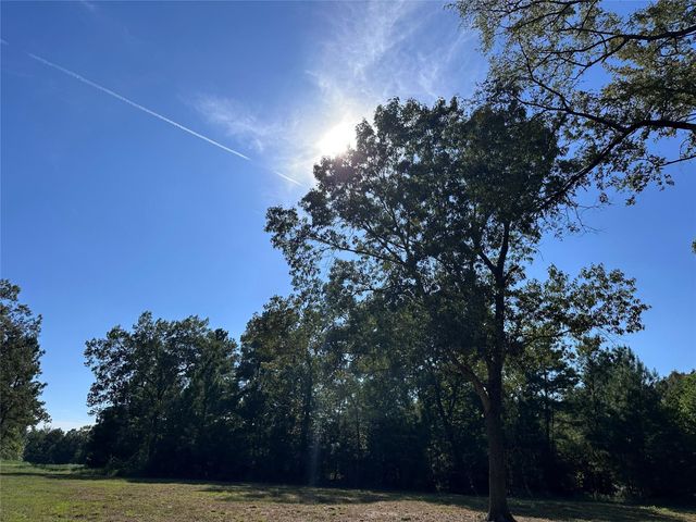 5.3 AC tbd Spring Branch Rd, Montgomery, TX 77316