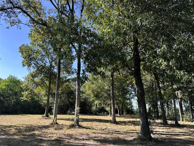 5.3 AC tbd Spring Branch Rd, Montgomery, TX 77316