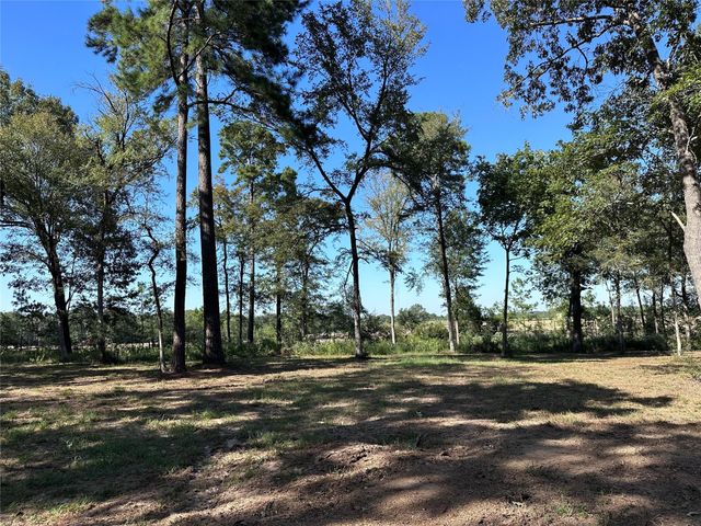 5.3 AC tbd Spring Branch Rd, Montgomery, TX 77316