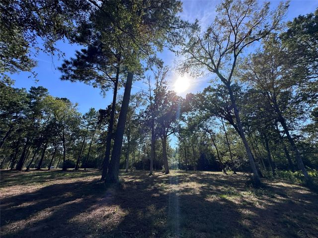 5.3 AC tbd Spring Branch Rd, Montgomery, TX 77316