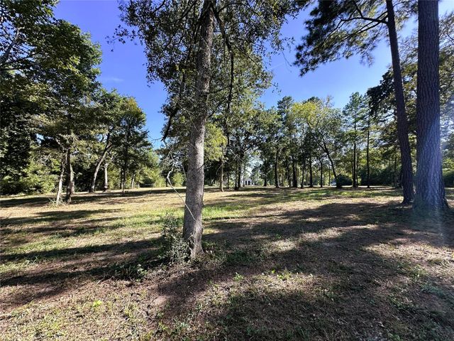 5.3 AC tbd Spring Branch Rd, Montgomery, TX 77316