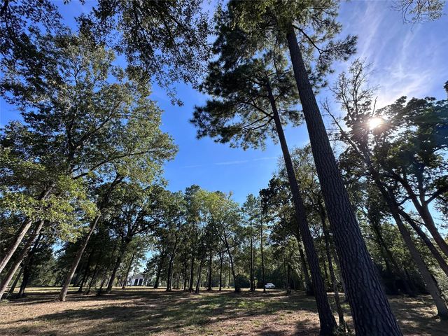 5.3 AC tbd Spring Branch Rd, Montgomery, TX 77316