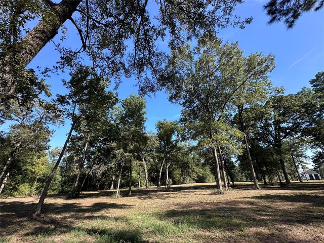 5.3 AC tbd Spring Branch Rd, Montgomery, TX 77316