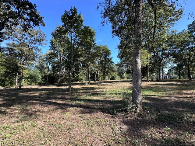 5.3 AC tbd Spring Branch Rd, Montgomery, TX 77316