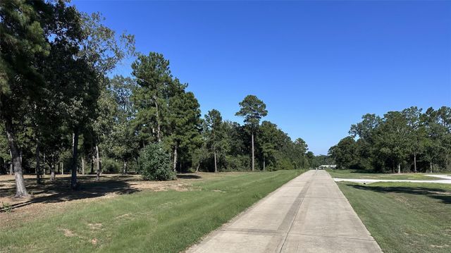 5.3 AC tbd Spring Branch Rd, Montgomery, TX 77316