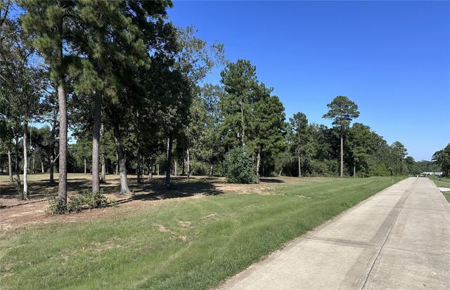 5.3 AC tbd Spring Branch Rd, Montgomery, TX 77316