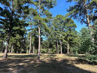 5.3 AC tbd Spring Branch Rd, Montgomery, TX 77316