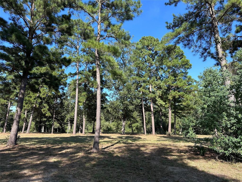5.3 AC tbd Spring Branch Rd, Montgomery, TX 77316