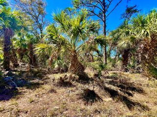 441 Juper Street, Port Charlotte, FL 33953