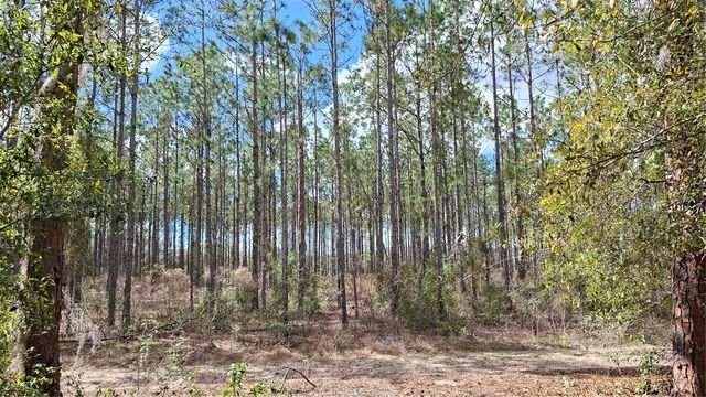 FISHER WAY, Ocklawaha, FL 32179