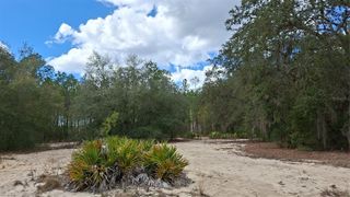 FISHER WAY, Ocklawaha, FL 32179